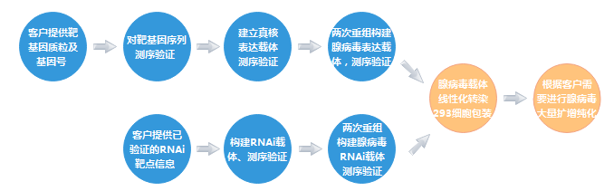 腺病毒.png