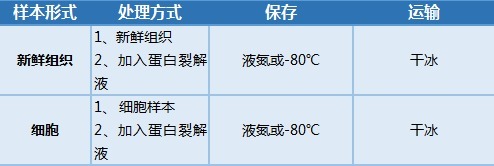 华联科实验中心